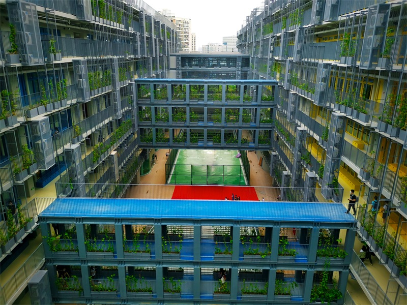 深圳国际交流学校高中部