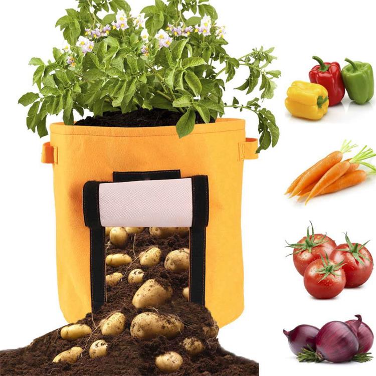 Vegetable potato plant fabric grow bags