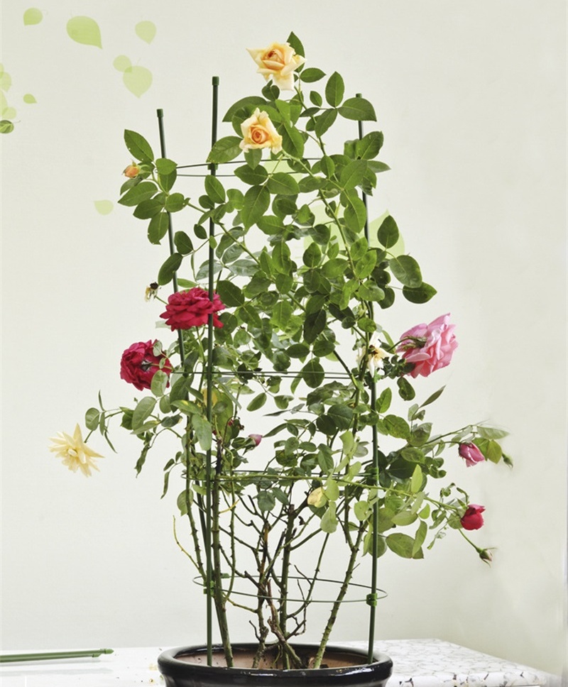 O1CN01Qe1er01oKr4jxEG80_!!2925925207-0-cib_看图王