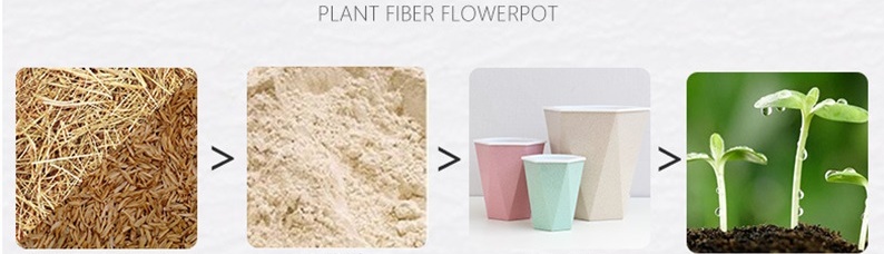 详情图_28_看图王