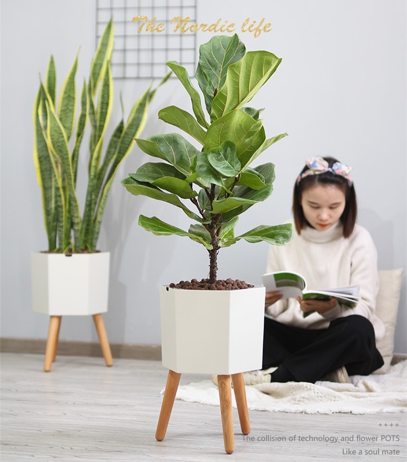 详情图_29_看图王