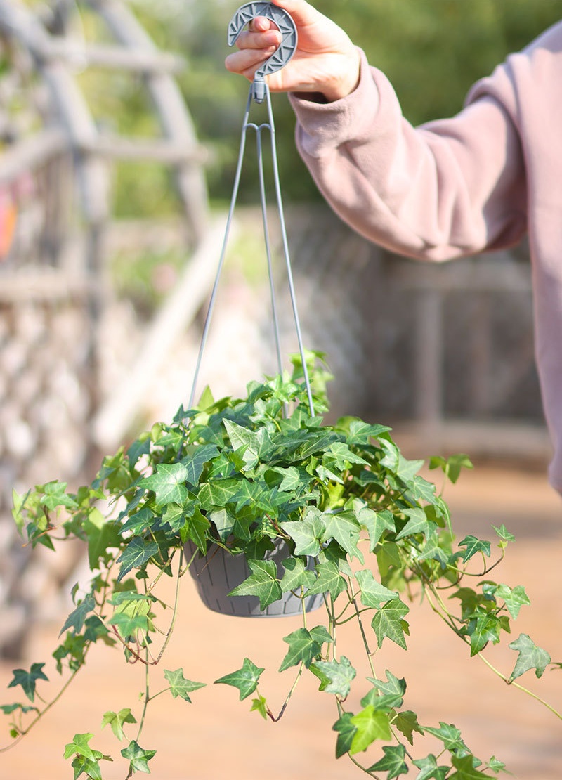 详情图_17_看图王