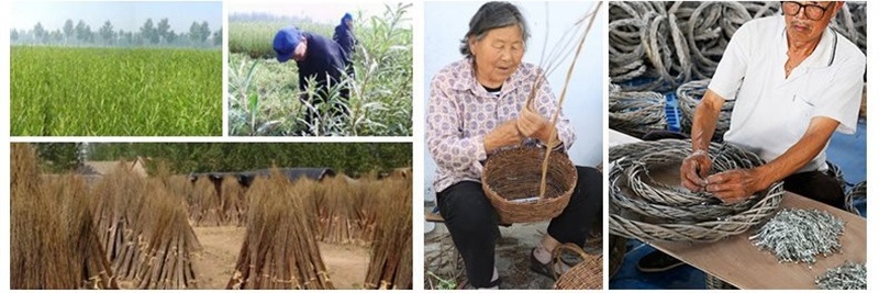 O1CN01BpnwW423lcaNispnD_!!2216762367296-0-cib_看图王