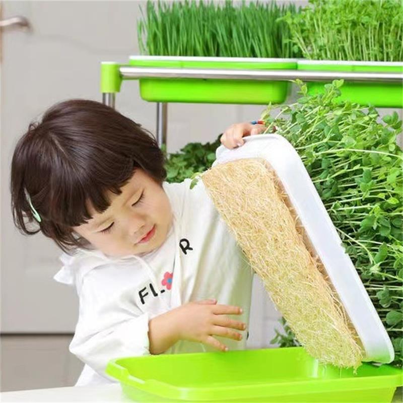 Sprout Growing Tray Household Soilless Cultivation Seedling Pot Container with Thermal Cover Lid for Sprout Growing Tray