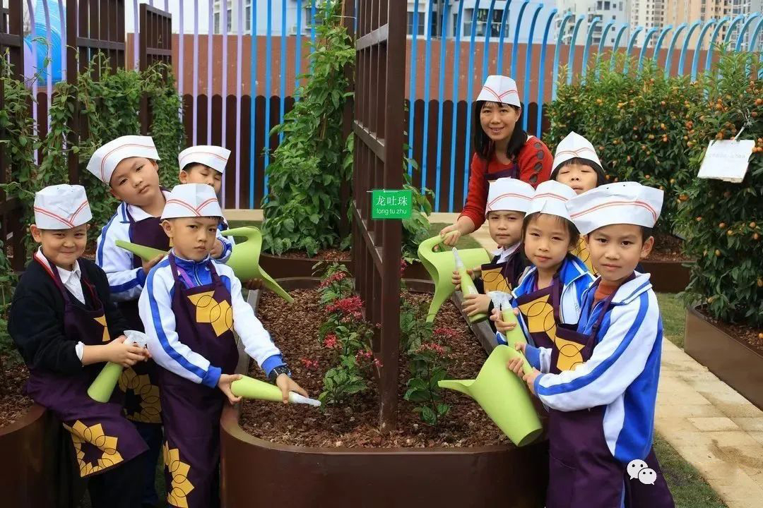 Roof Gardening, The Application of Planter Assembly Technology Goes To School's Environmental Education Platform
