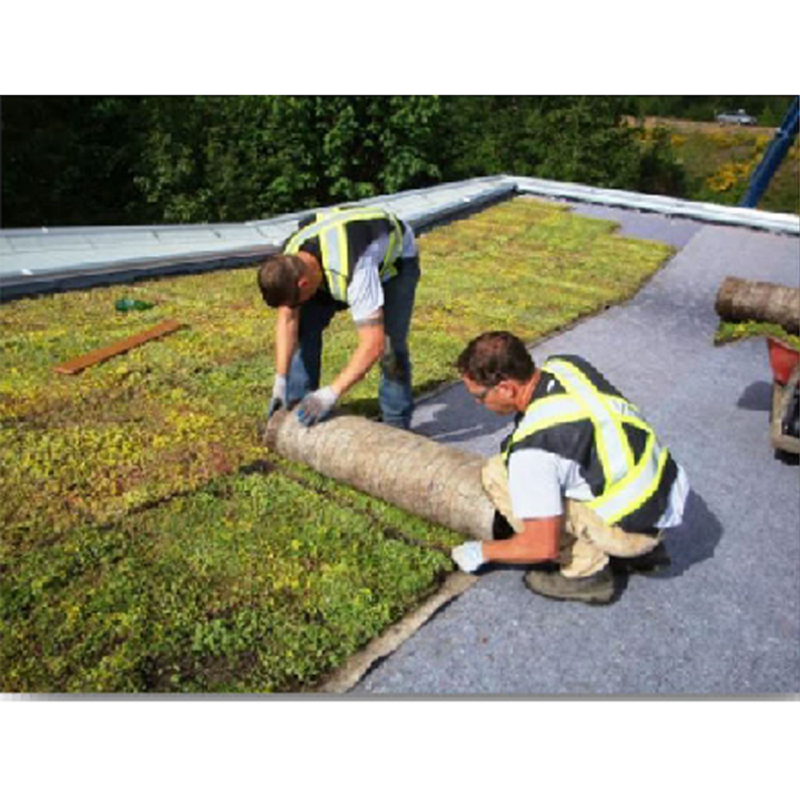 Cloud Carpet-5 800-800