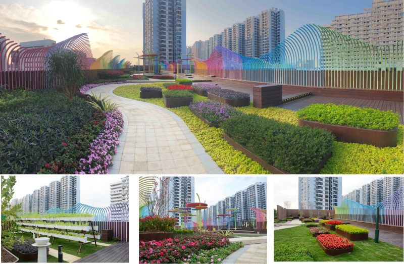 深圳福苑小学800-523