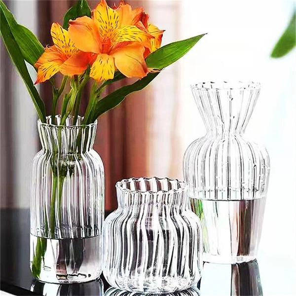 Elevate Decor with a Transparent Glass Vase