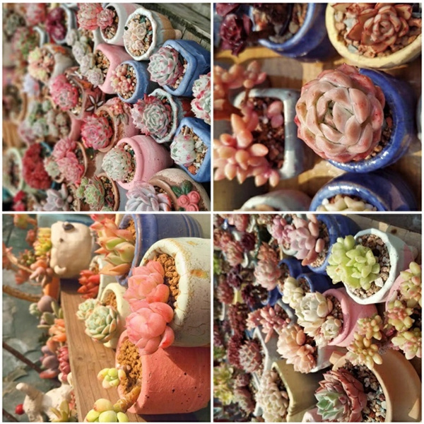 Small-and-Simple-Ceramic-Flower-Pots (1)