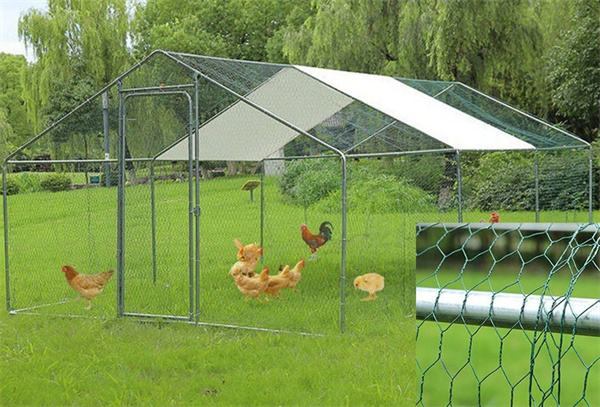 The Benefits of Using Poultry Wire Mesh
