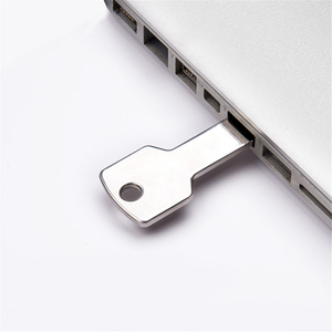 Metal Key Usb Flash Stick Drive Memory 8GB 16GB 32GB USB Promo Gifts