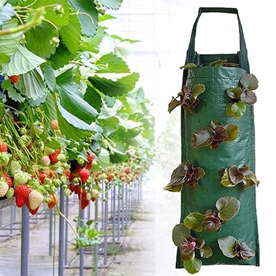 China PE Vertical Hanging 3D Plant Bag manufacturers
